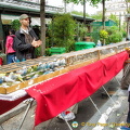 Budgies and other birds for sale